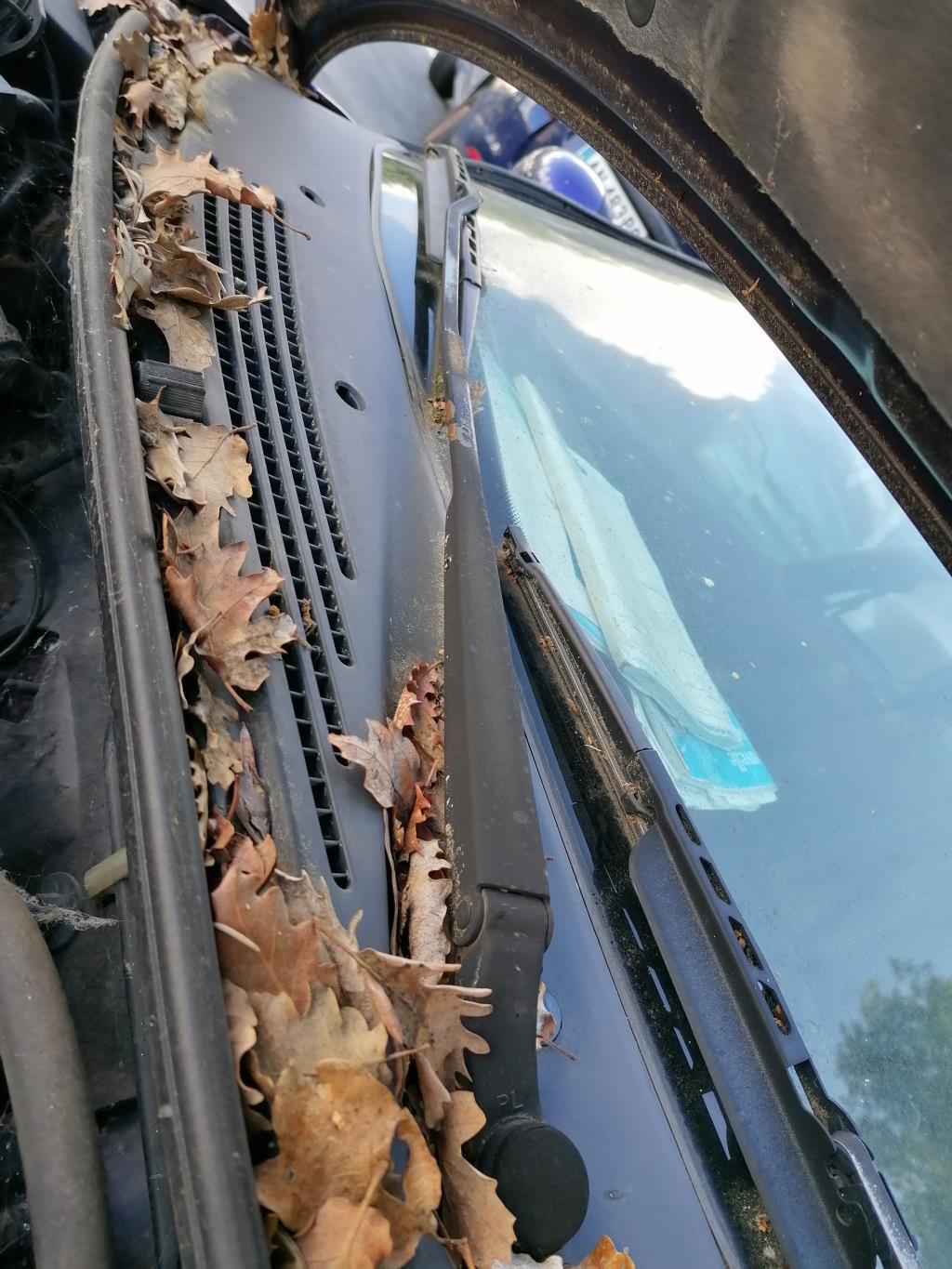Braccio tergicristallo anteriore destro FORD PROBE COUPE Gasolina - 1