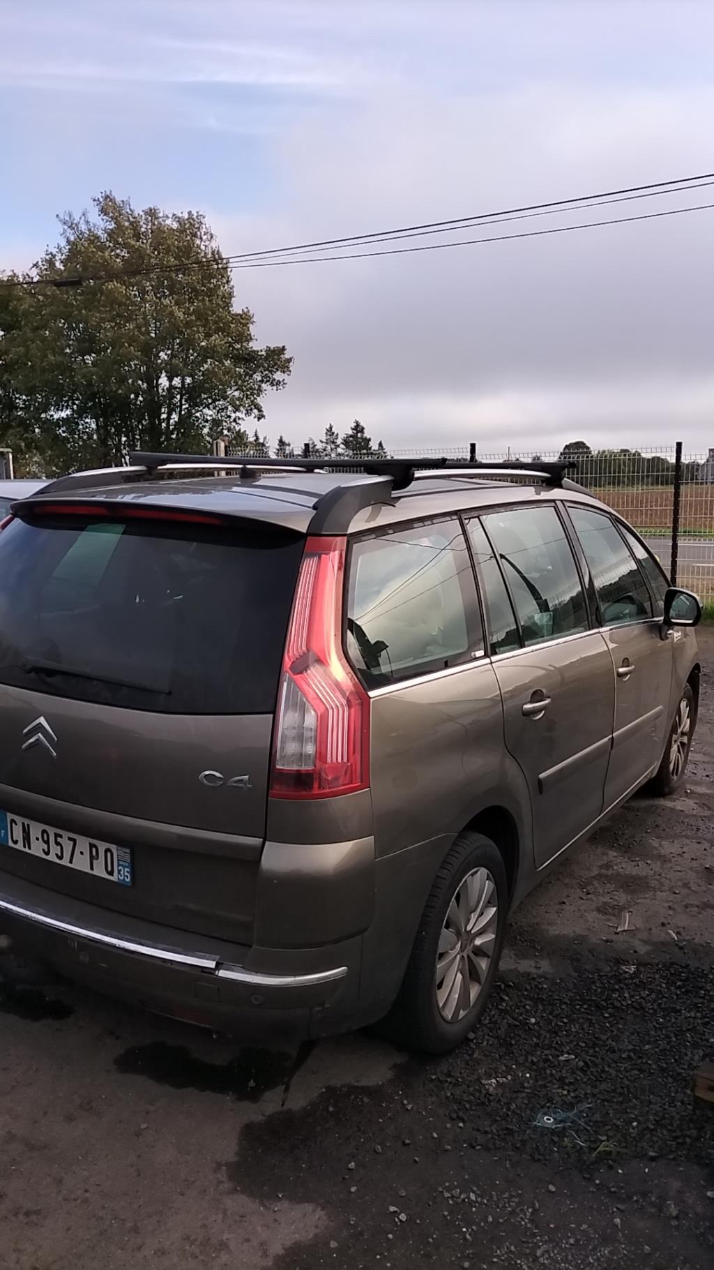 Luce di cortesia CITROEN C4 GRAND PICASSO 1 Diésel - 1