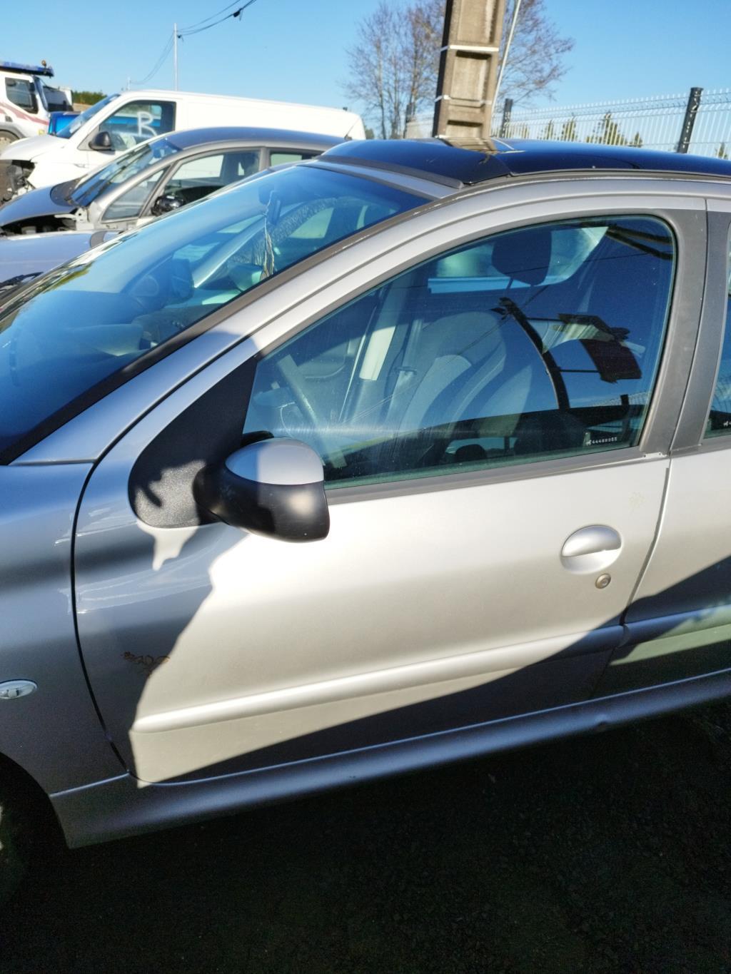 Specchietto retrovisore sinistro PEUGEOT 206 PHASE 2 Gasolina - 1