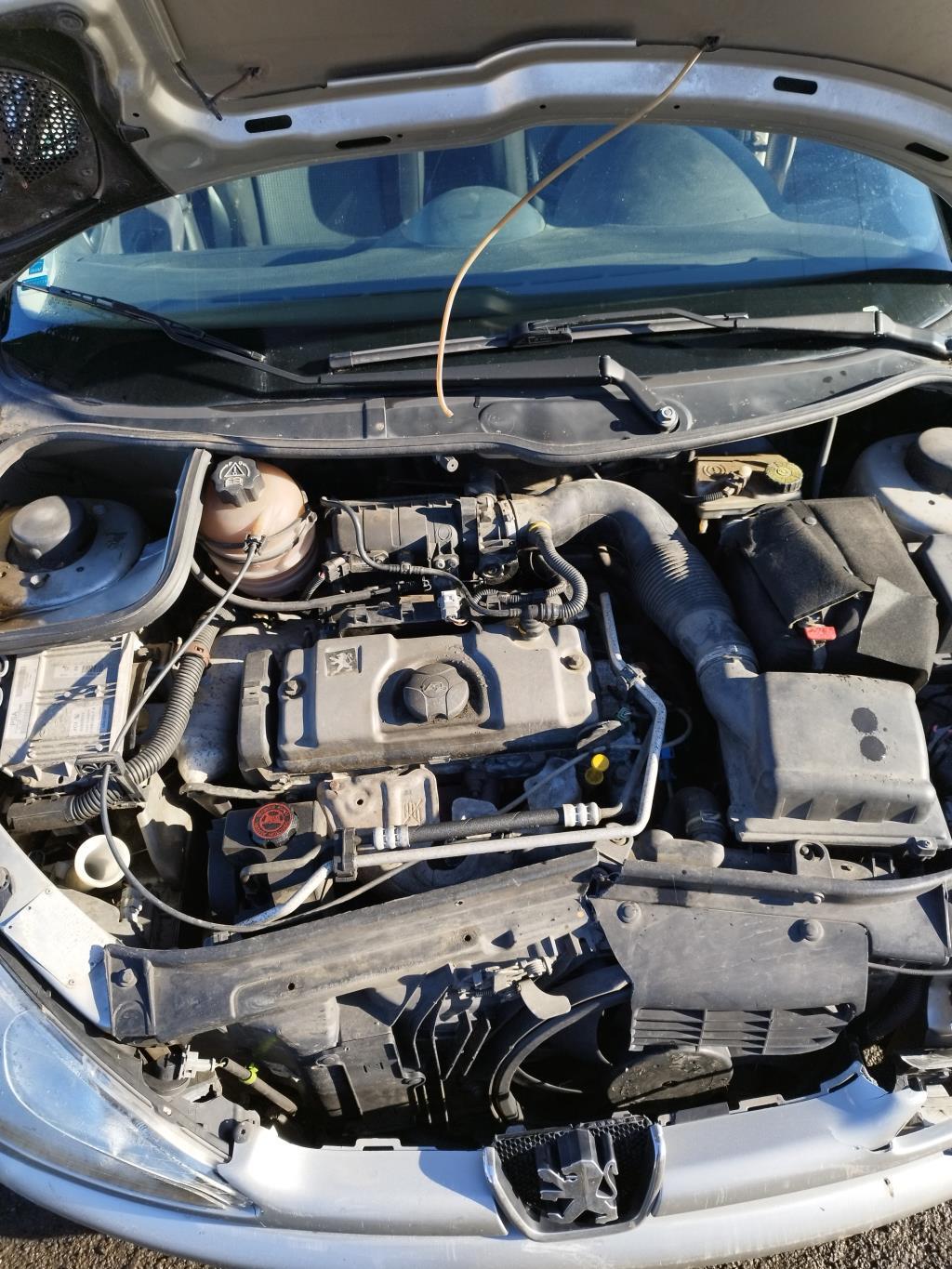 Bobina (accensione) PEUGEOT 206 PHASE 2 Gasolina - 1