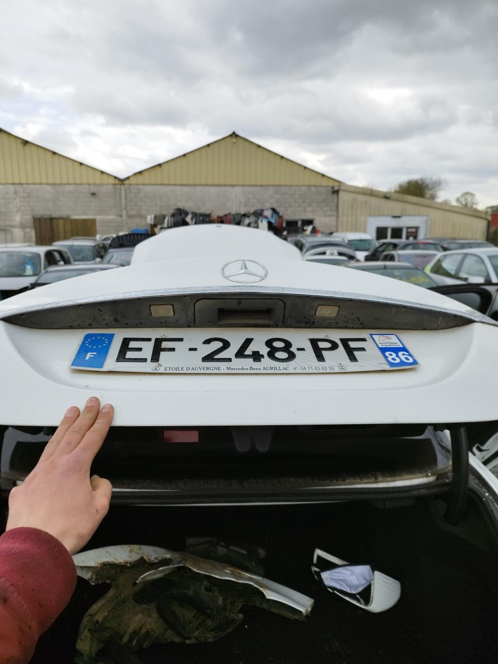 Luci targa MERCEDES CLASSE C 205 PHASE 1 Diésel - 1
