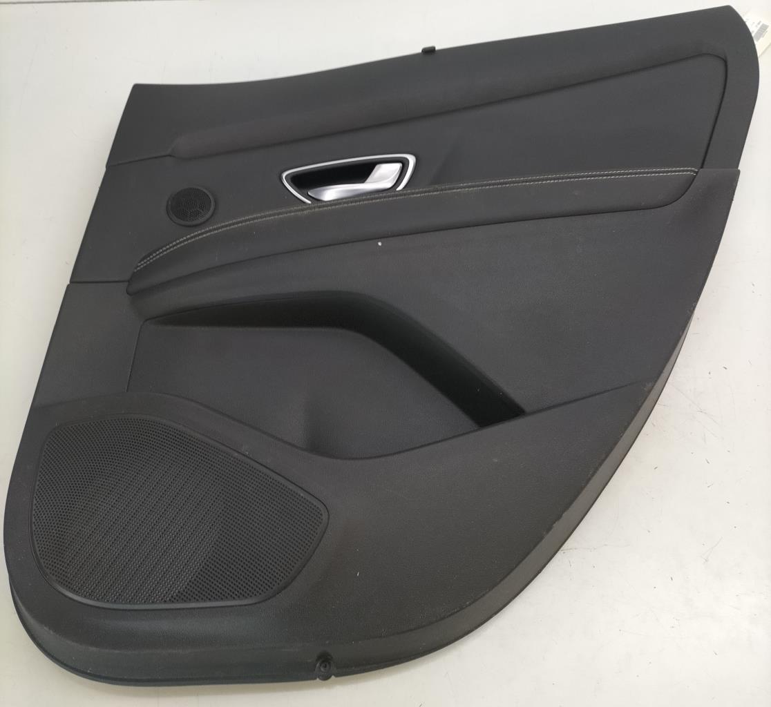 Panel de puerta trasera derecha RENAULT SCENIC 4 Diésel - 1