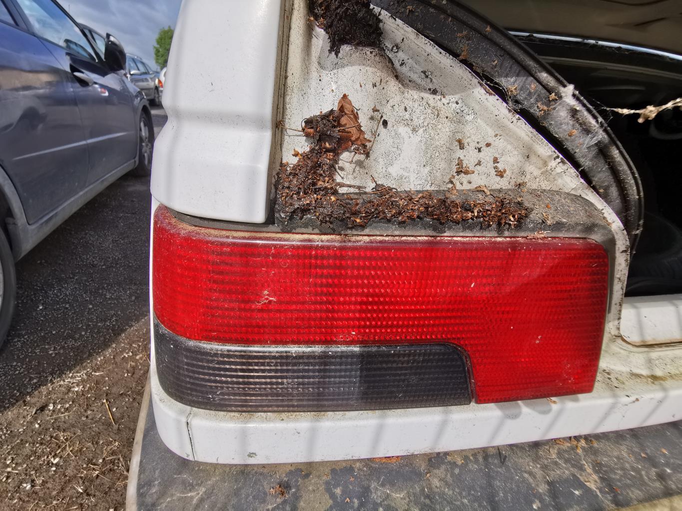 Fanale posteriore principale sinistro (luci) PEUGEOT 405 PHASE 2 Diésel - 1