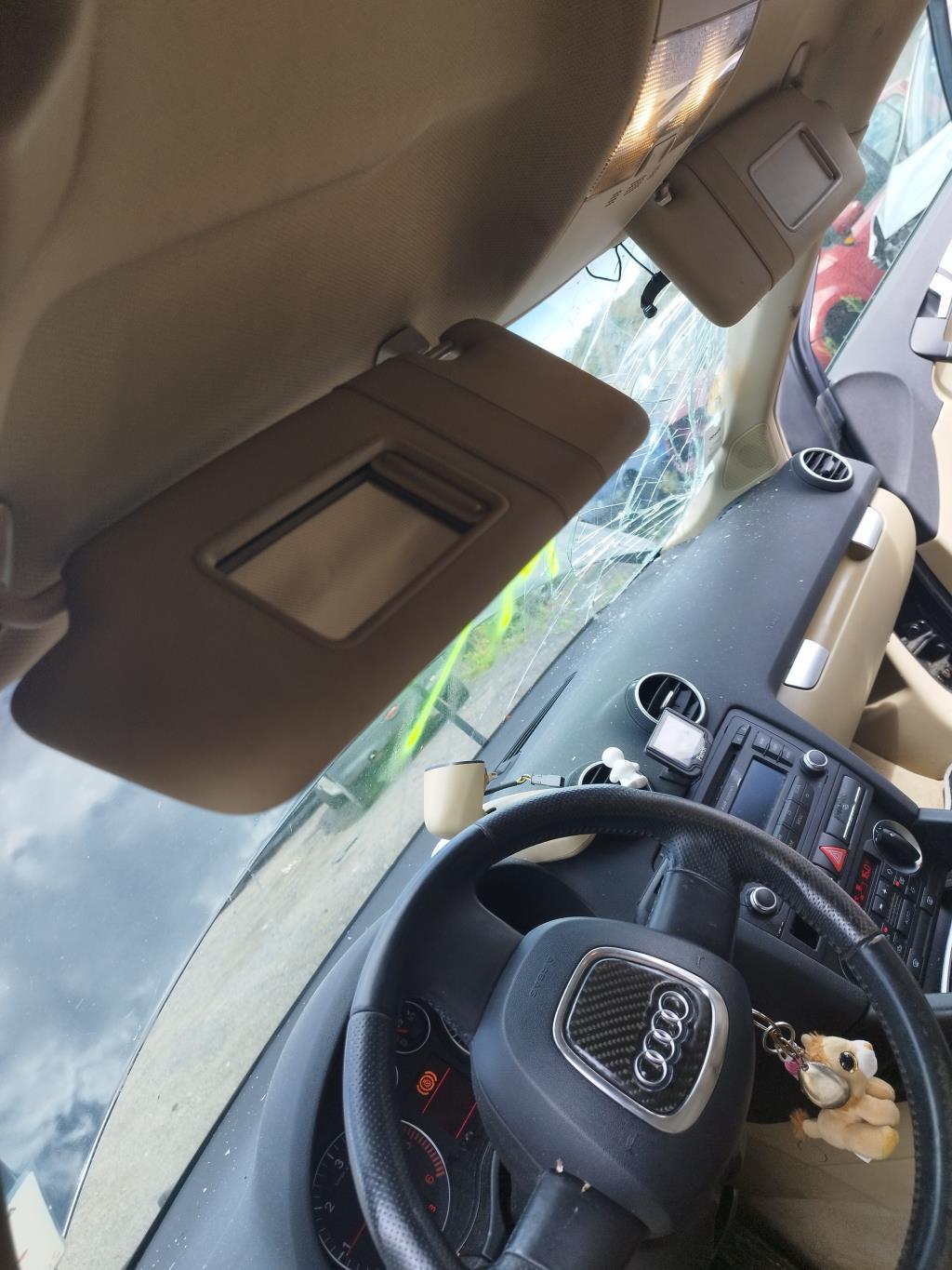Visiera parasole sinistra AUDI A3 2 SPORTBACK PHASE 1 Diésel - 1