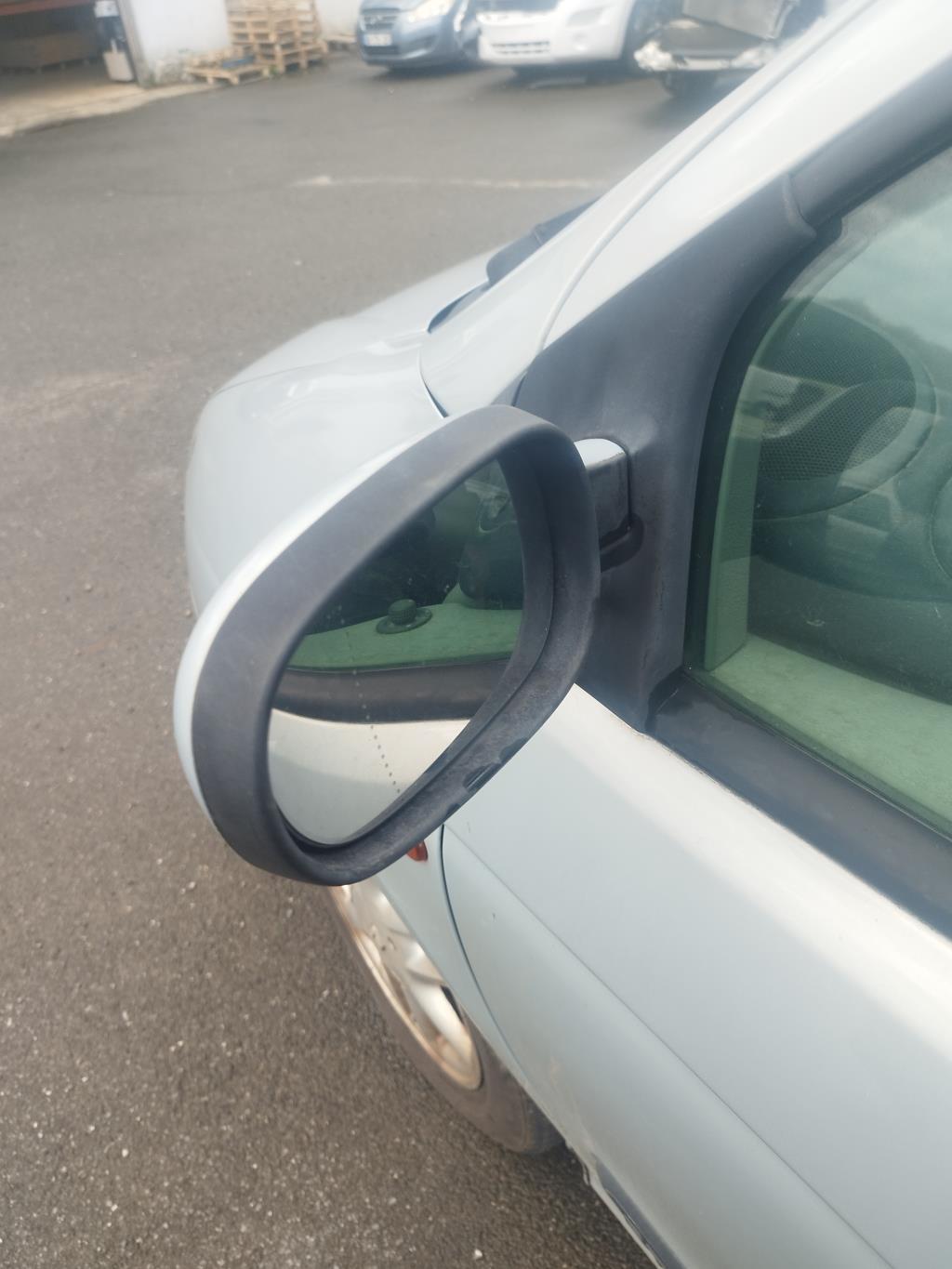 Specchietto retrovisore sinistro RENAULT SCENIC 1 PHASE 2 Diésel - 1