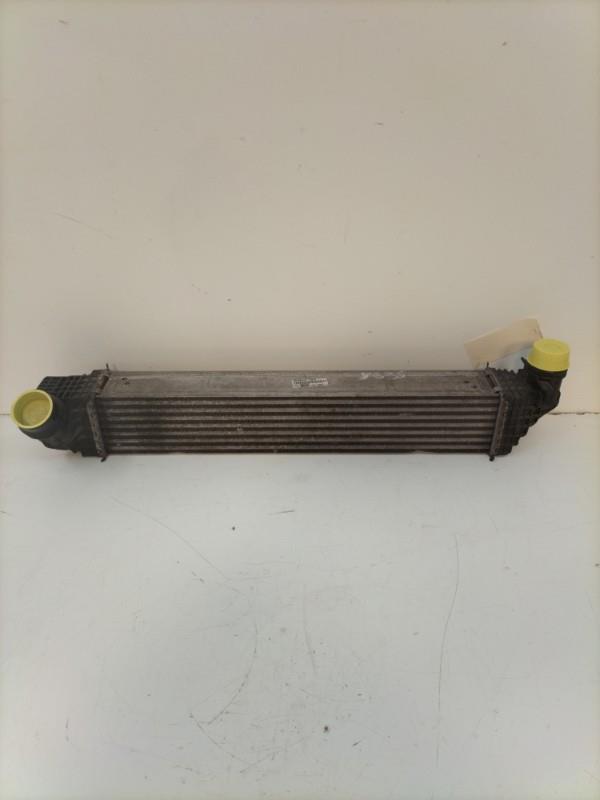 Scambiatore aria (Intercooler) RENAULT SCENIC 3 PHASE 2 Diésel - 1