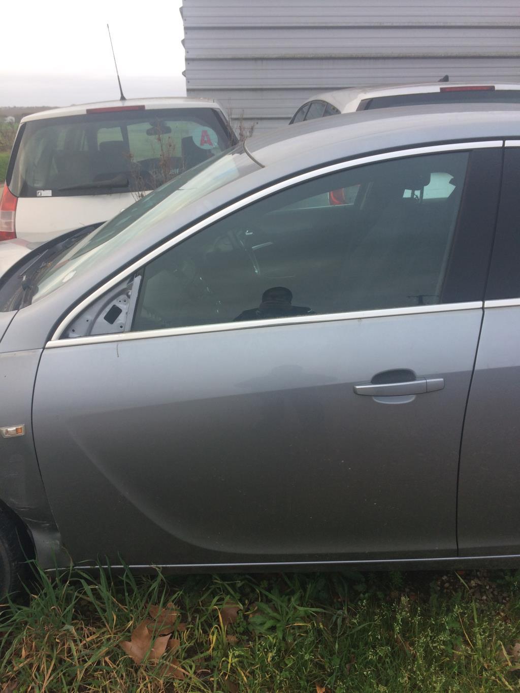 Porte avant gauche OPEL INSIGNIA 1 PHASE 1 Diesel - 1