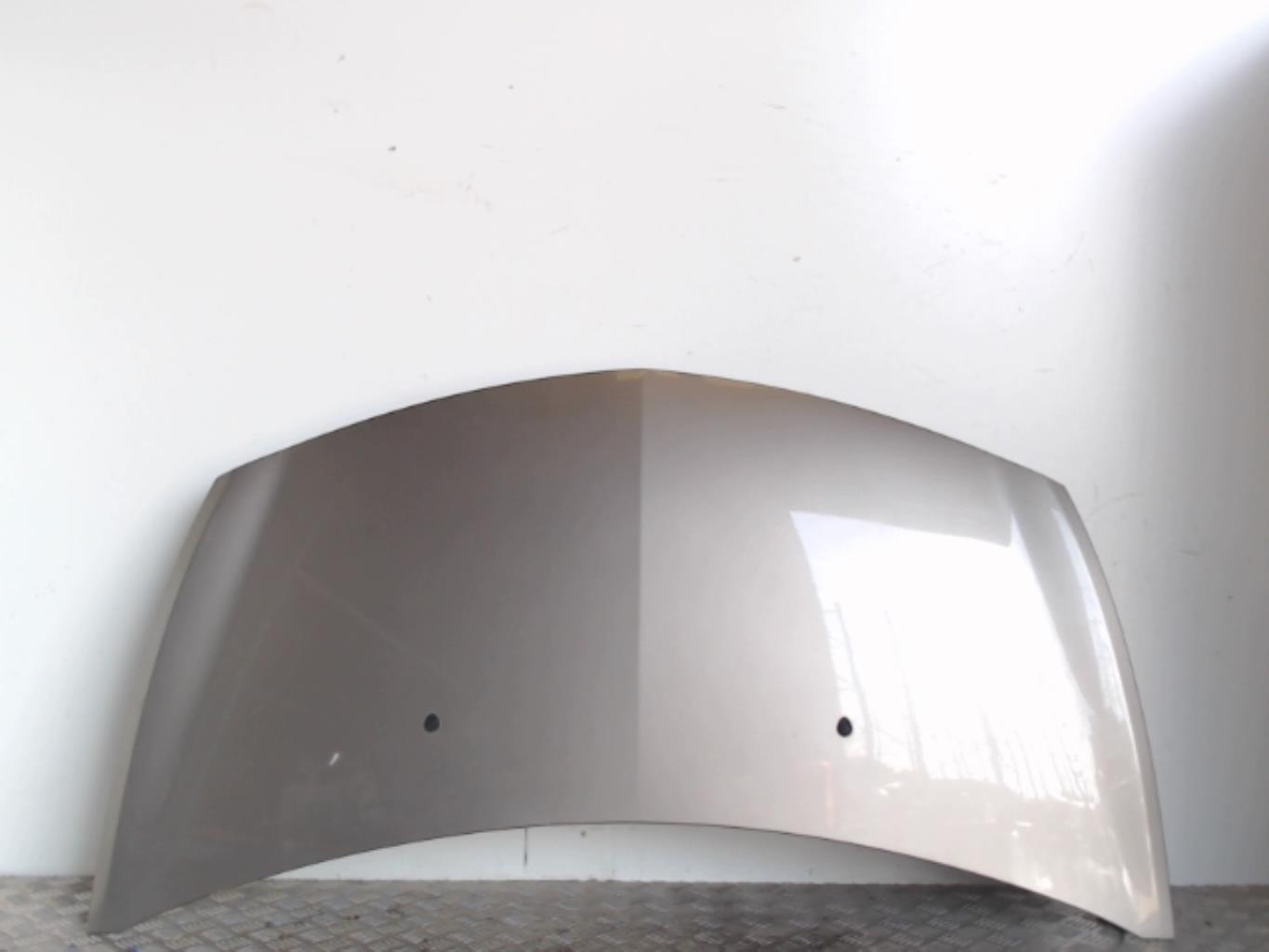 Capot RENAULT CLIO 3 PHASE 1 Diesel - 1