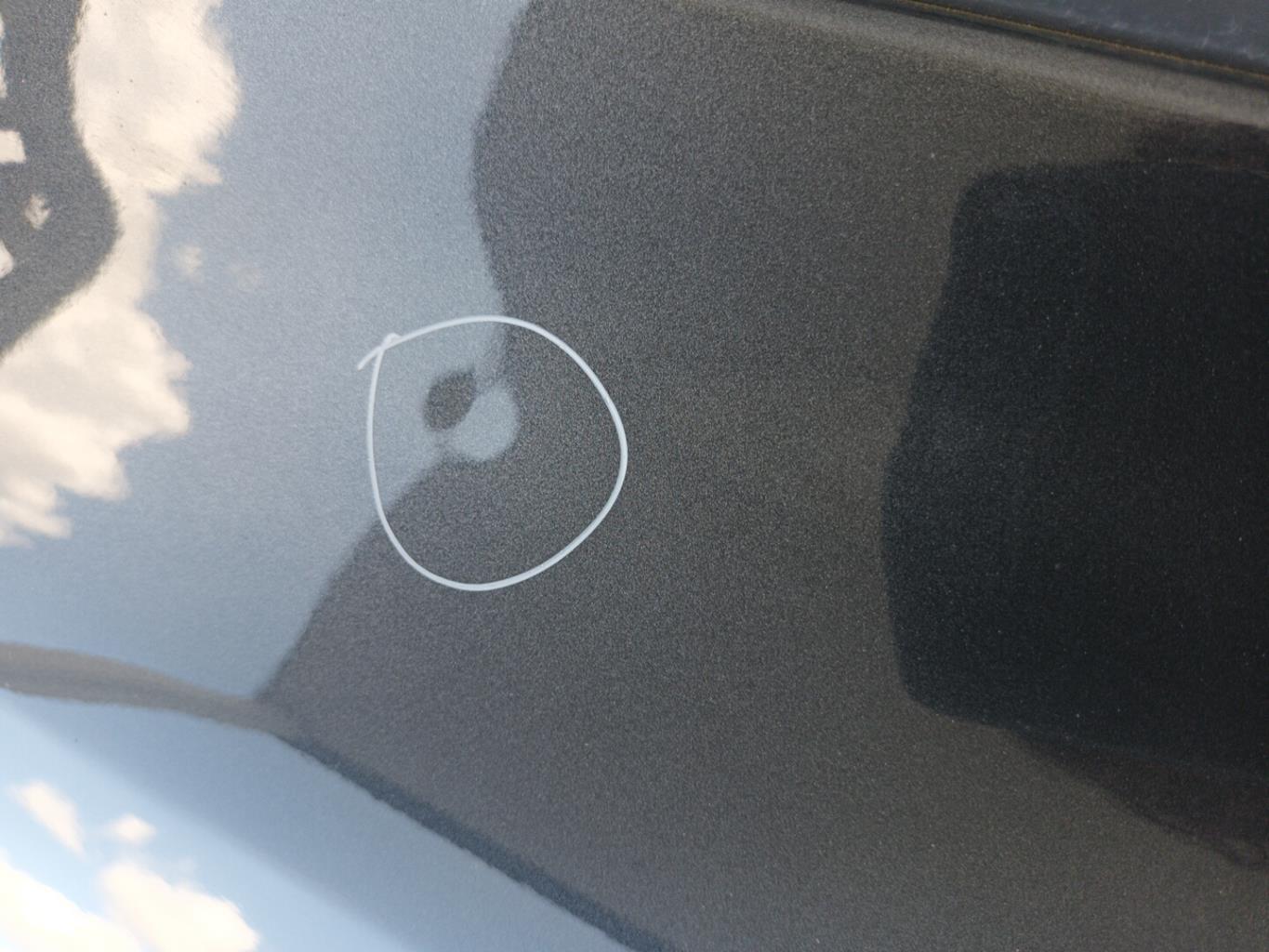 Porte arriere gauche RENAULT CLIO 3 PHASE 1 Diesel - 1