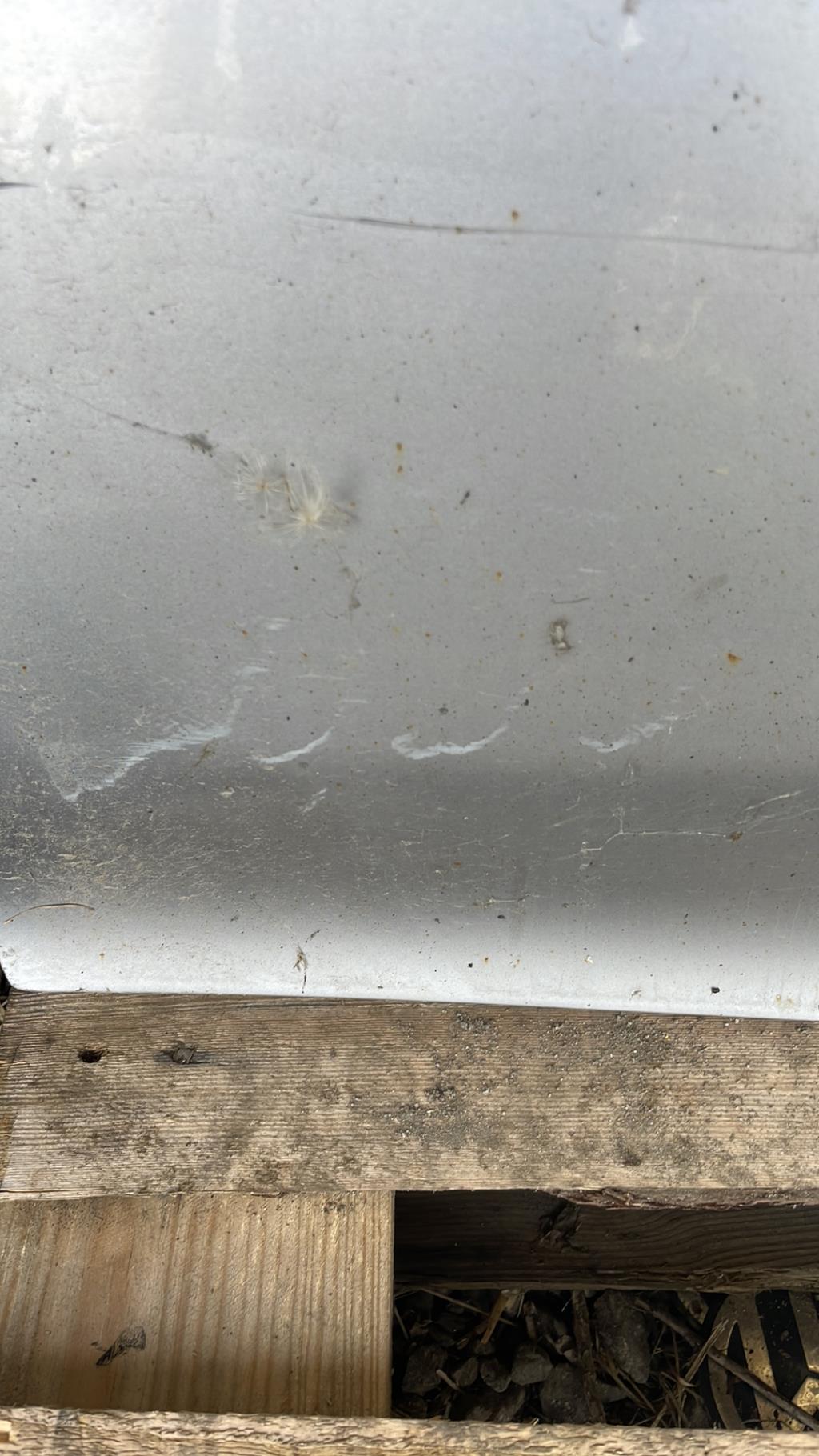 Portiera anteriore sinistra HONDA HR-V 1  - 1