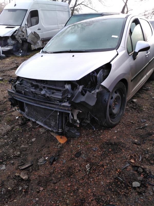 Portiera posteriore sinistra PEUGEOT 207 PHASE 1 Diésel - 1