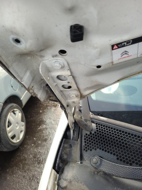 Charniere de capot CITROEN C4 2 PHASE 2 Diesel - 1