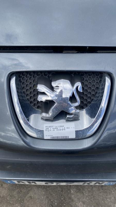 Sigle de calandre PEUGEOT 308 1 PHASE 1 Diesel - 1