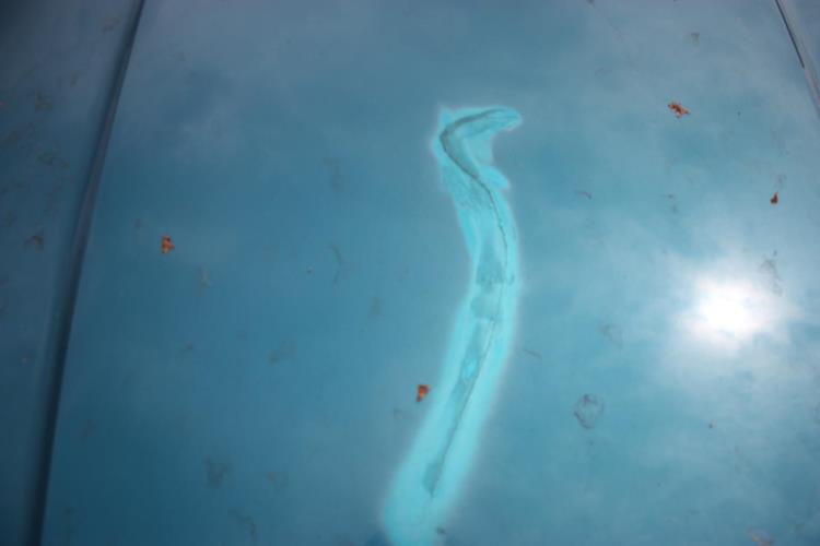 Photo de la pièce