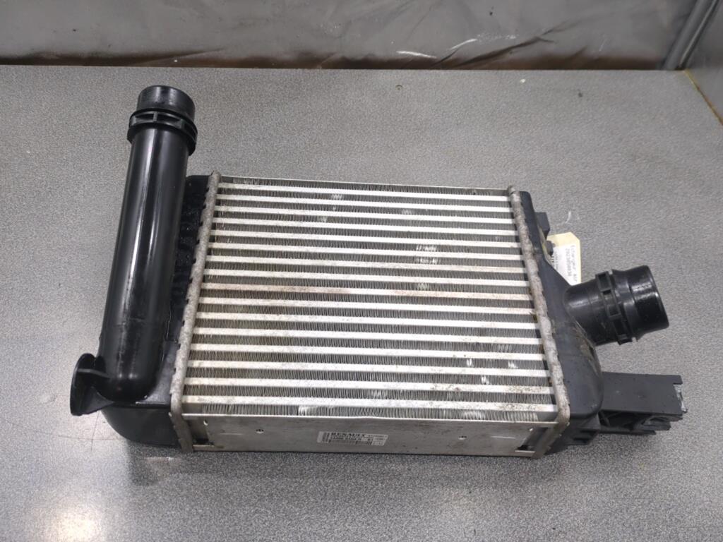 Scambiatore aria (Intercooler) DACIA DUSTER 2 PHASE 1 Gasolina - 1