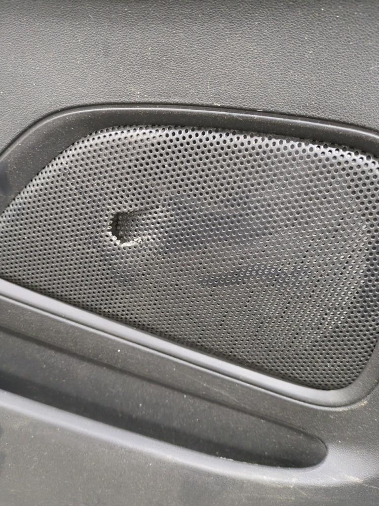 Pannello portiera posteriore sinistro CITROEN C4 PICASSO 2 PHASE 1 Gasolina - 1