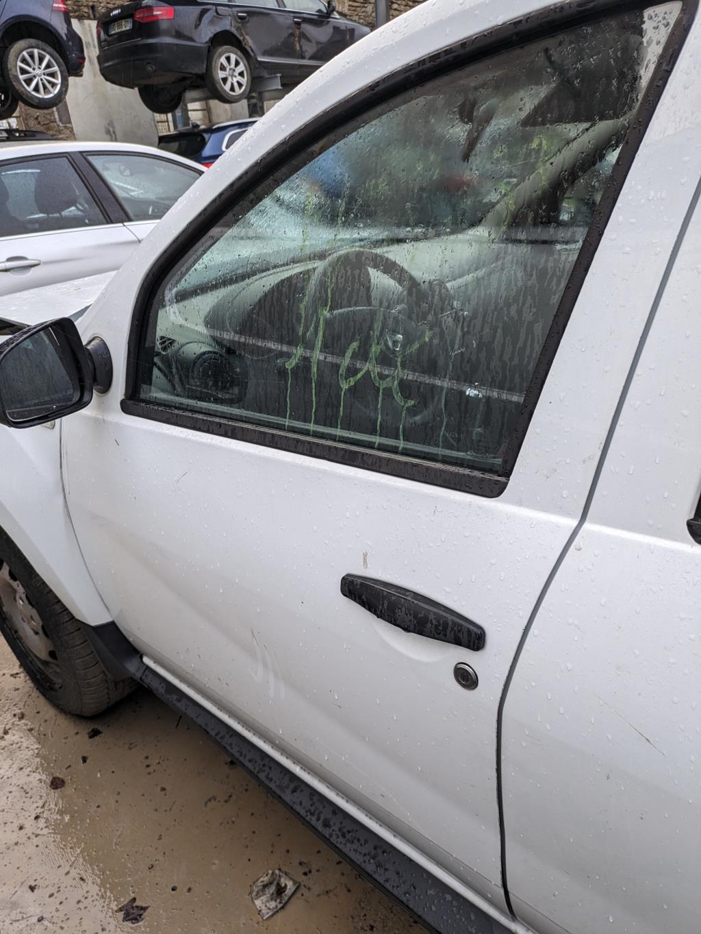 Porte avant gauche DACIA DUSTER 1 PHASE 1 Essence/Ethanol - 1