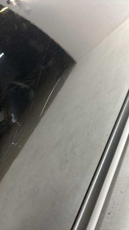 Porte arriere gauche RENAULT LAGUNA 3 PHASE 1 Diesel - 1