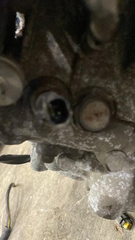Boite de vitesses NISSAN PRIMERA 4  - 1