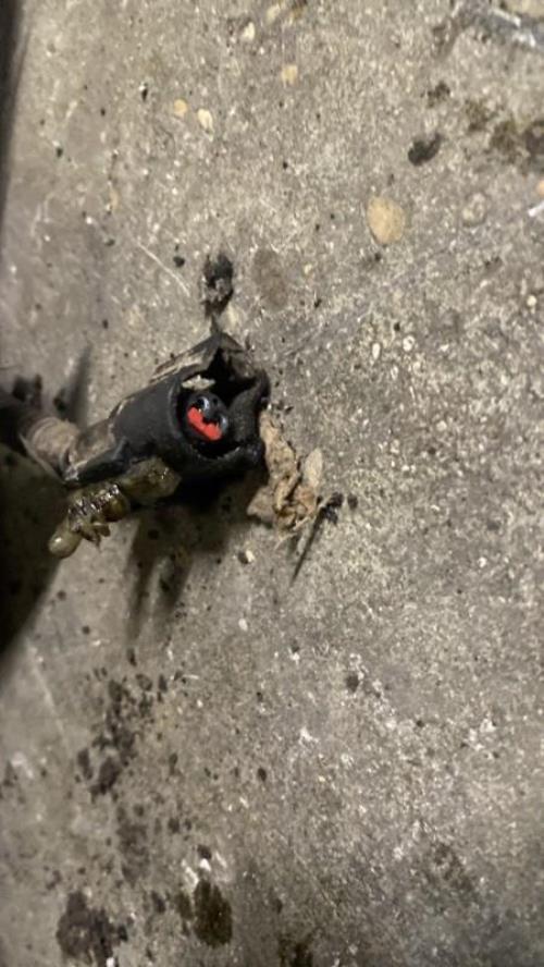 Photo de la pièce