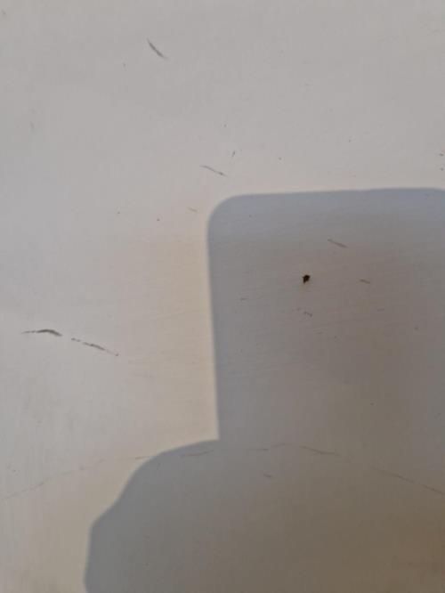 Photo de la pièce