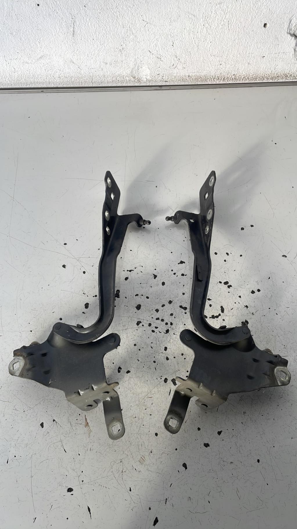 Charniere de capot RENAULT SCENIC 3 PHASE 1 Diesel - 1