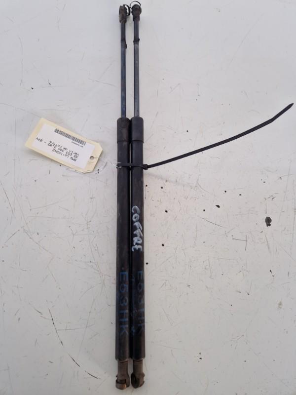 Verin de coffre BMW X5 E53 Diesel - 1