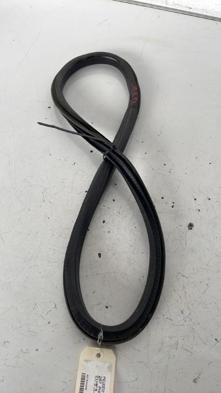 Joint de porte PEUGEOT 207 PHASE 1 Essence - 1