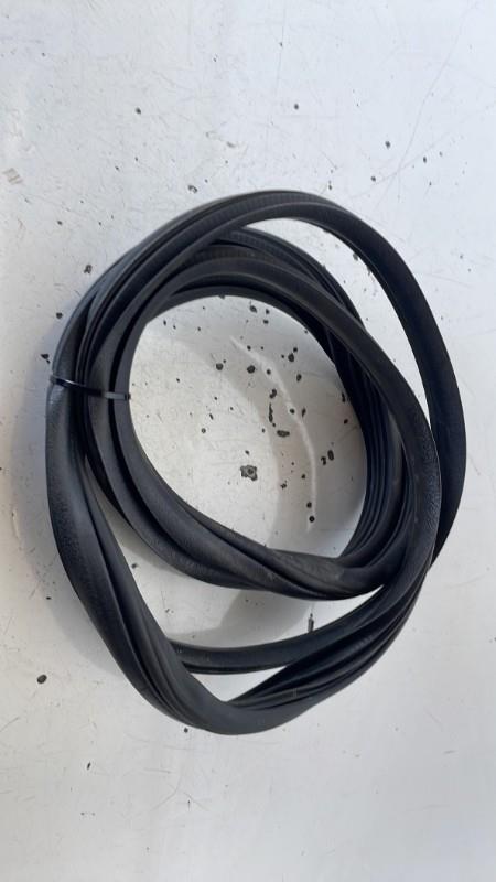 Joint de porte avant gauche RENAULT CLIO 3 PHASE 2 Diesel - 1