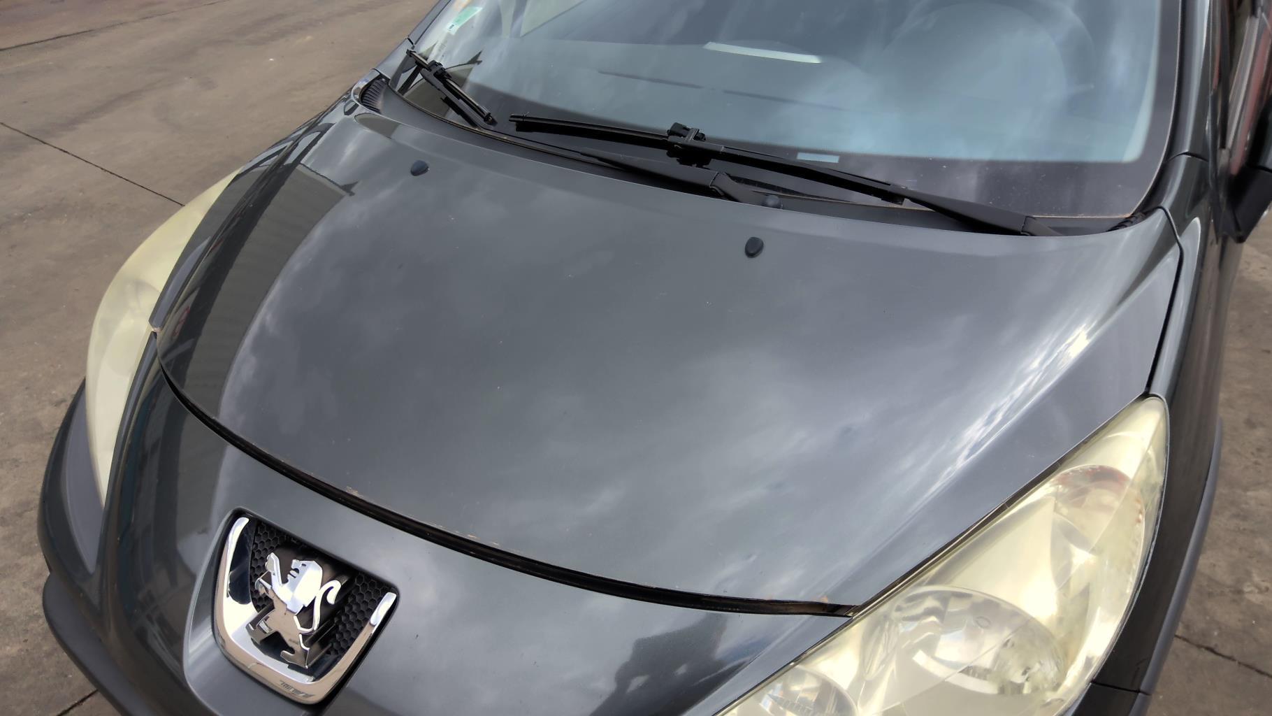 Capot PEUGEOT 207 PHASE 1 BREAK Diesel - 1