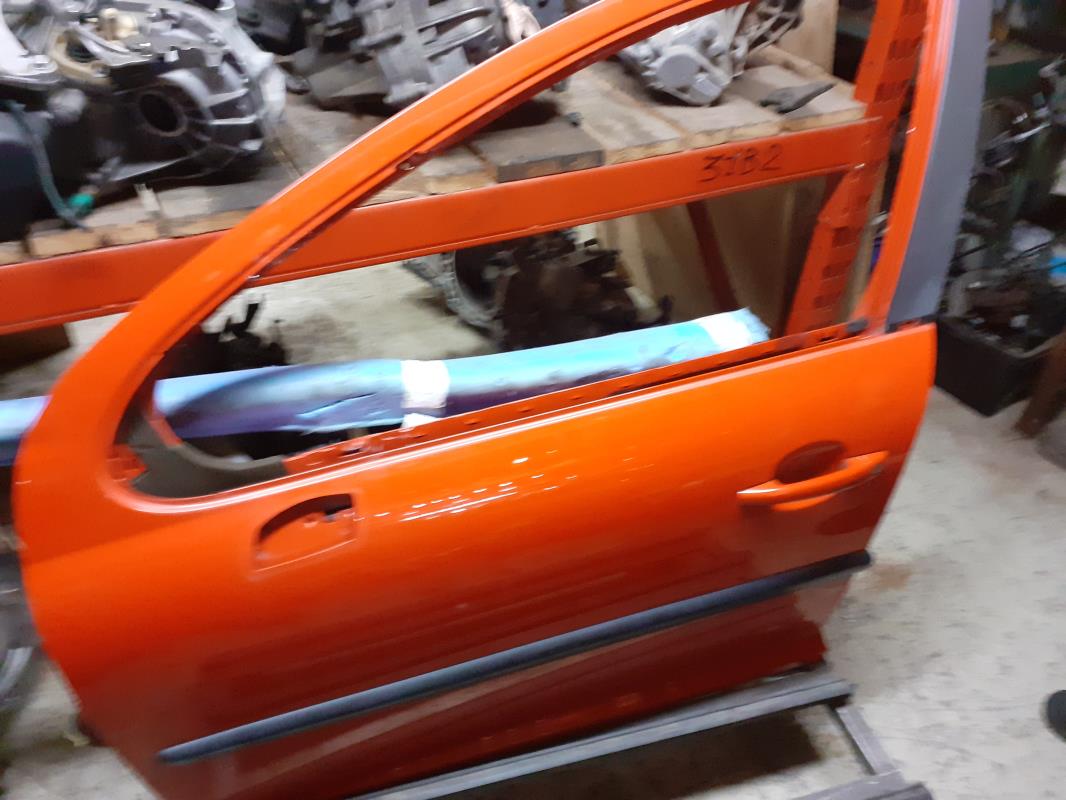 Porte avant gauche