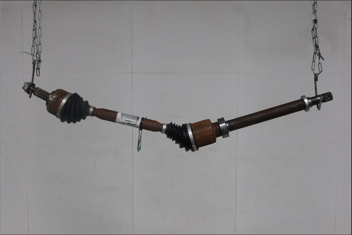Cardan droit (transmission)