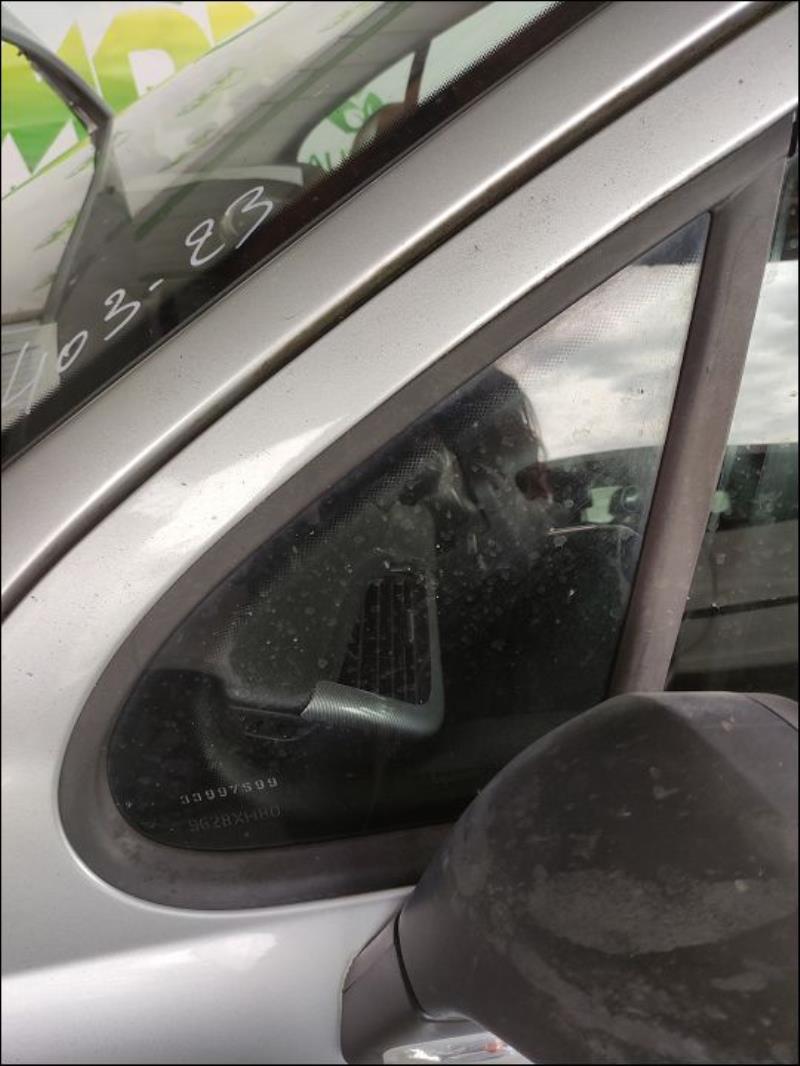 Custode avant gauche (porte)