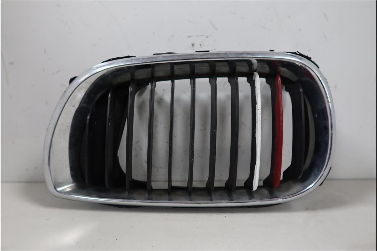 Grille de calandre gauche
