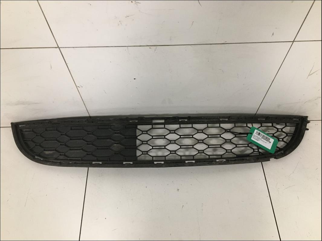 Grille de pare choc
