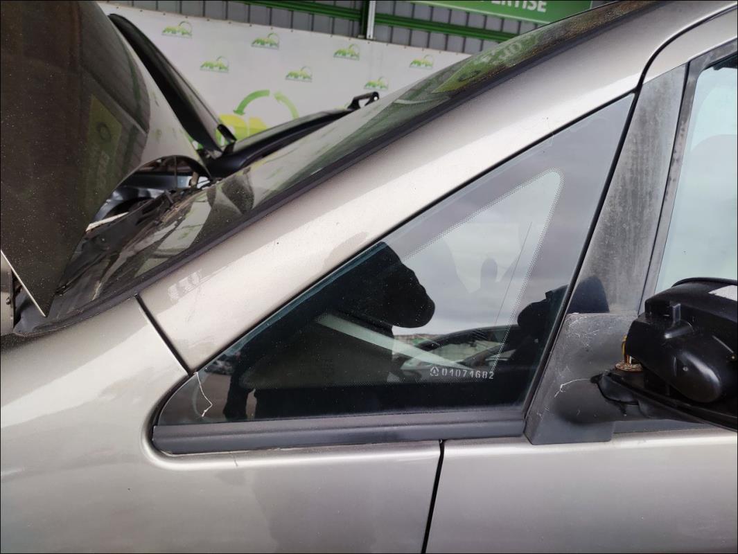 Custode avant gauche (porte)