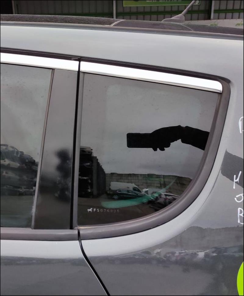 Custode arriere gauche PEUGEOT 3008 1 PHASE 2 Diesel - 1