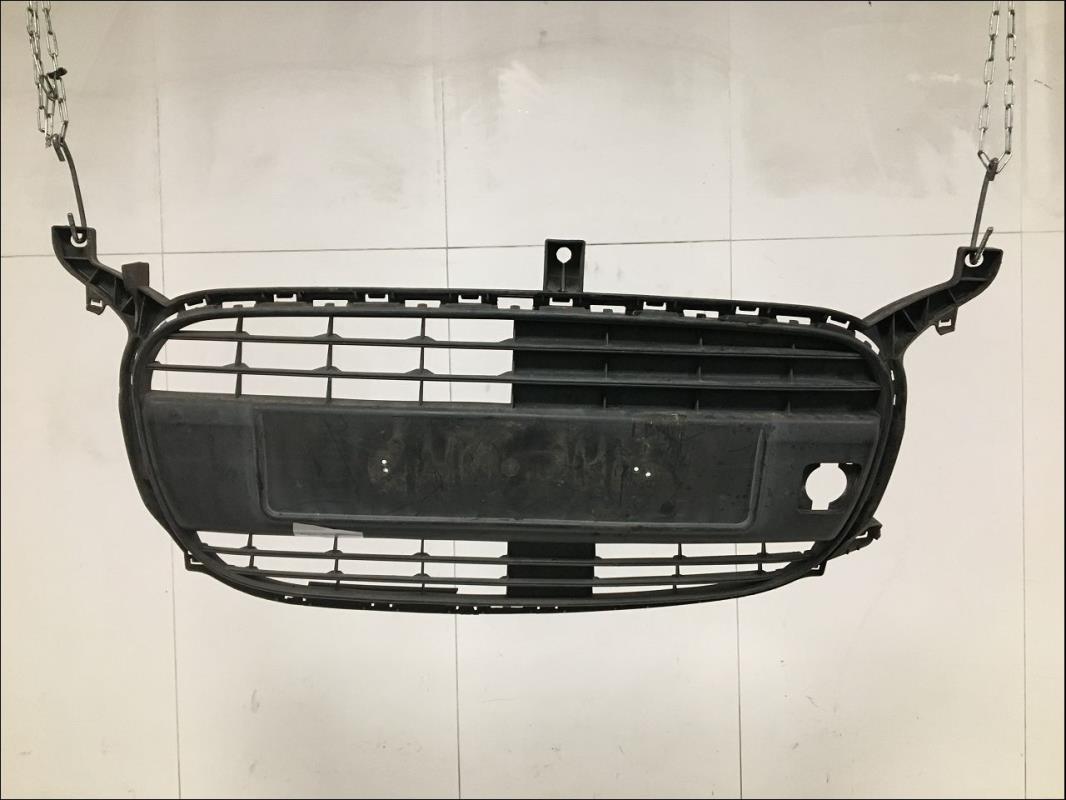 Grille de pare choc