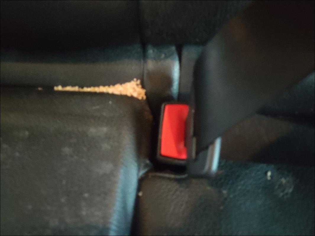 Attache ceinture arriere gauche