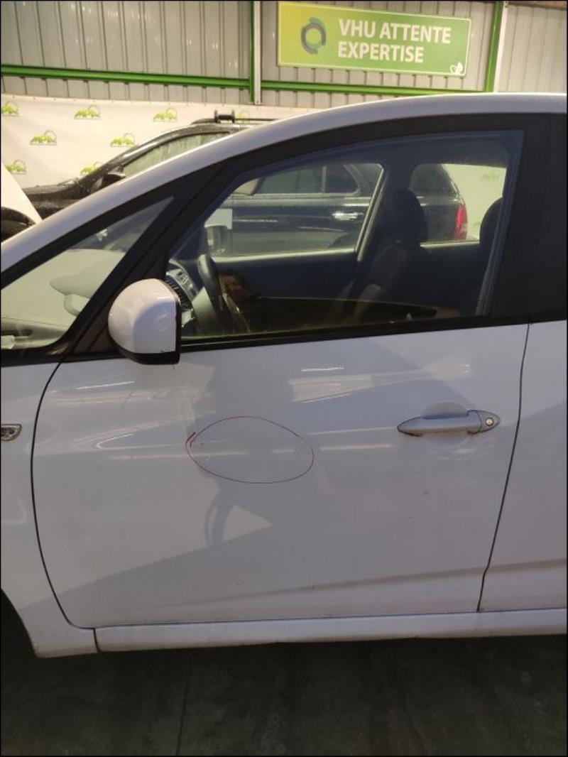 Porte avant gauche