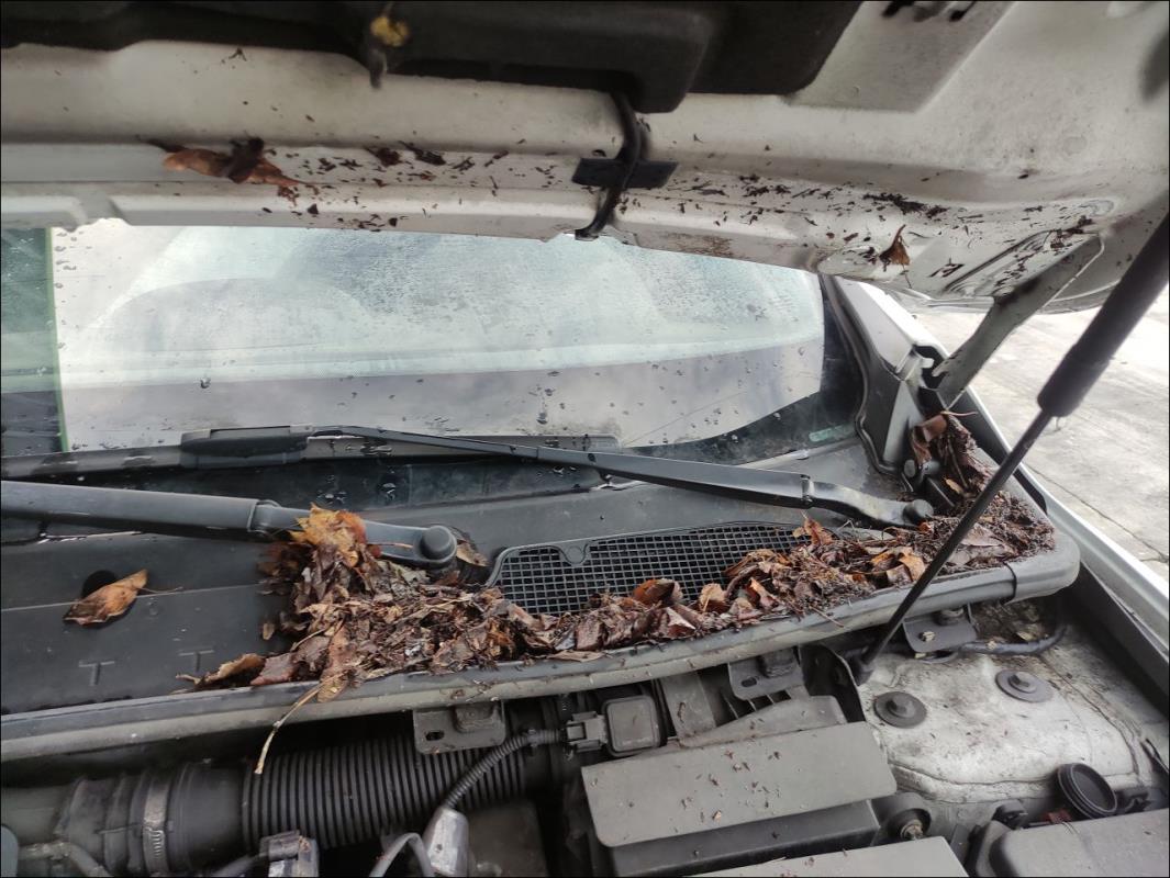 Moteur essuie glace avant