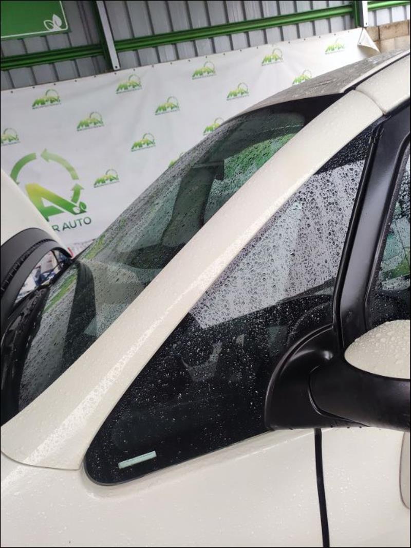 Custode avant gauche (porte)