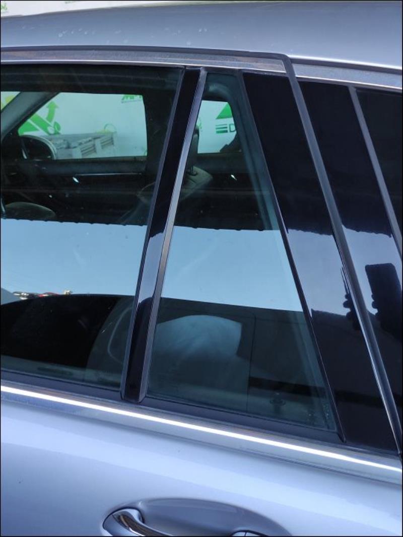 Custode arriere gauche (porte)