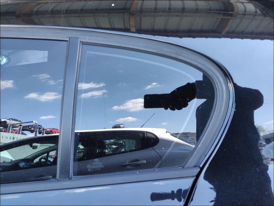 Custode arriere gauche (porte)