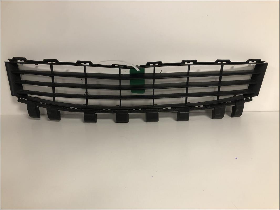 Grille de pare choc