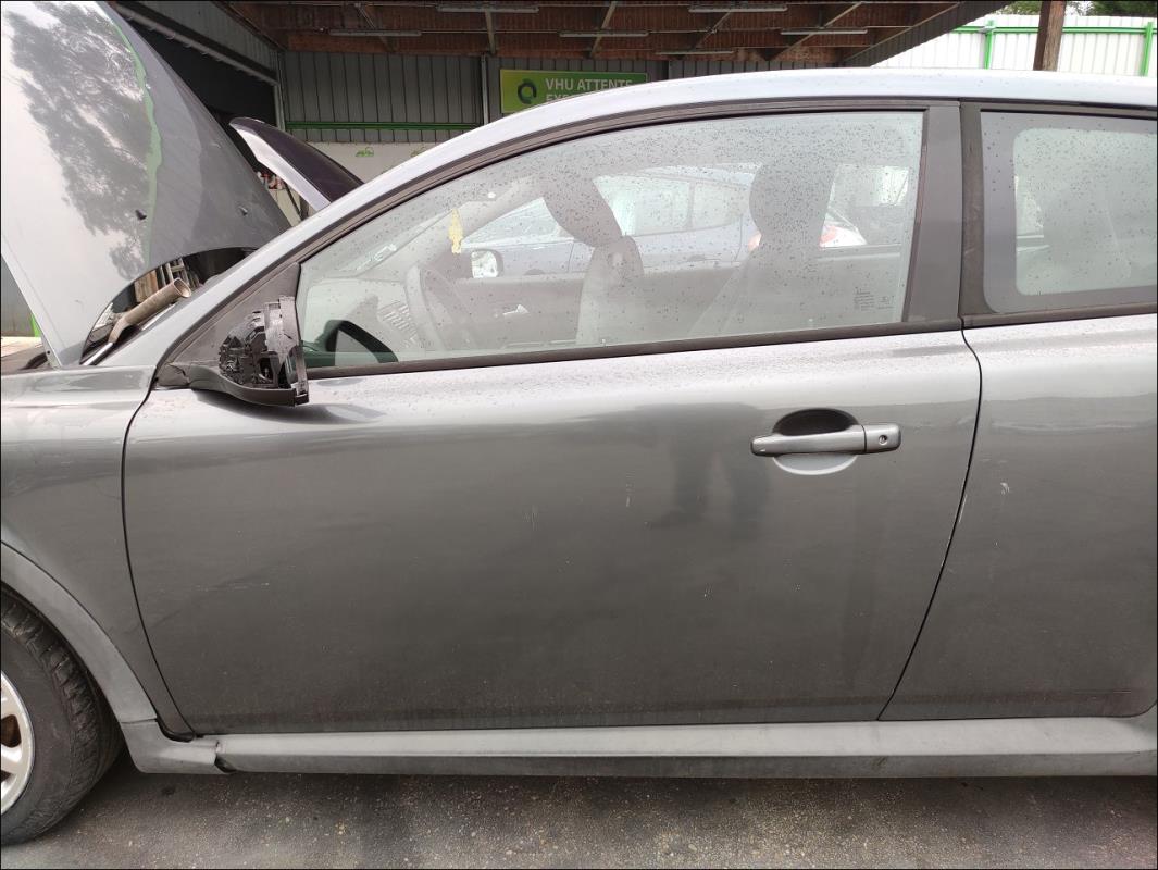Porte avant gauche