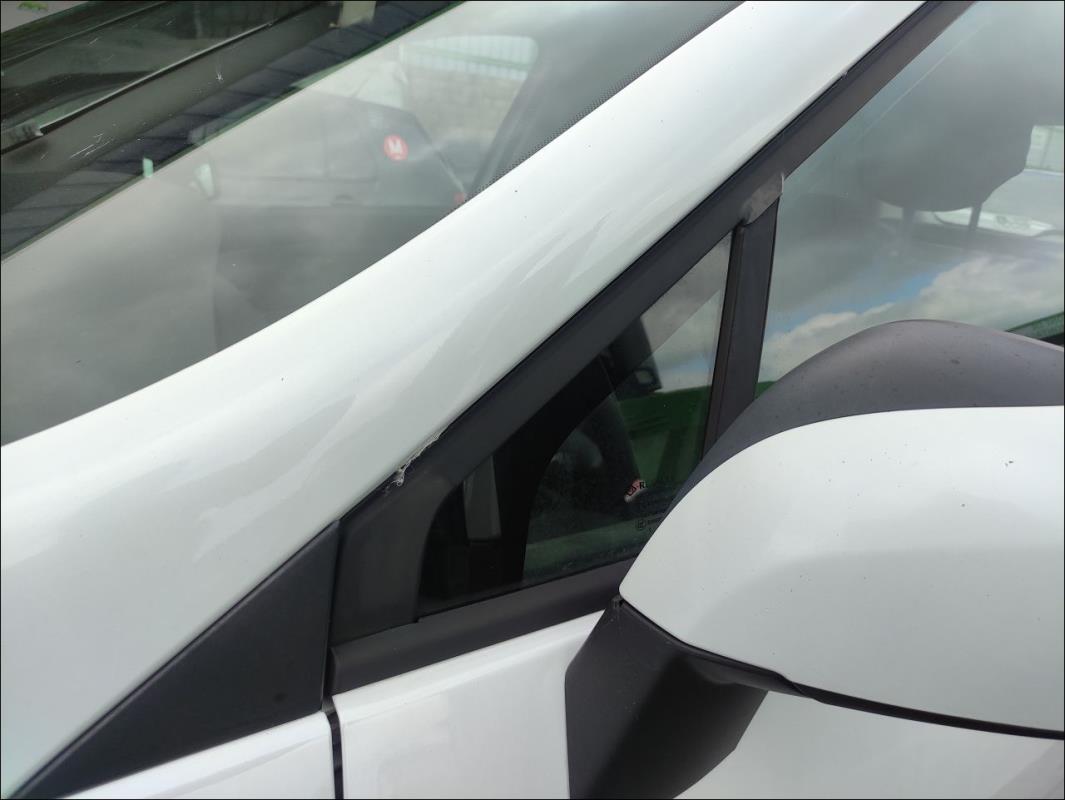 Custode avant gauche (porte)