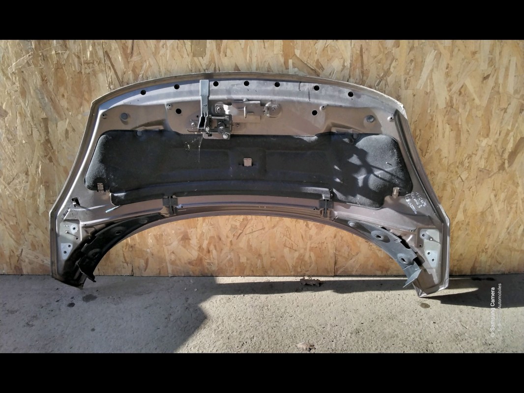 Capot RENAULT GRAND SCENIC 3 PHASE 1 Diesel - 1