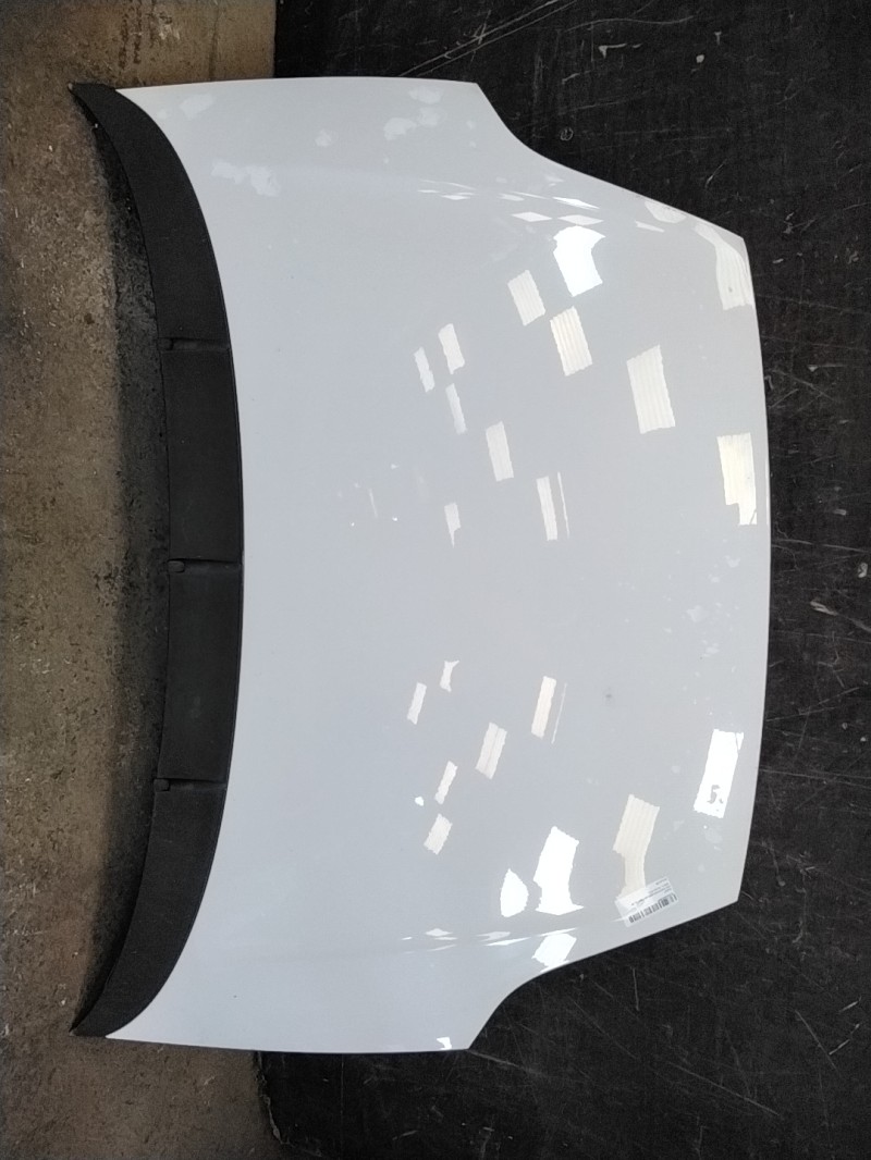 Capot FIAT PUNTO EVO 3 Essence - 1
