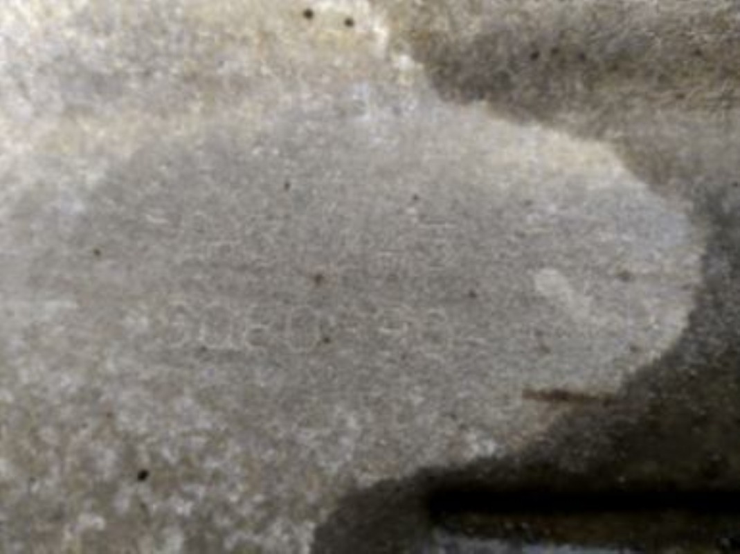 Photo de la pièce